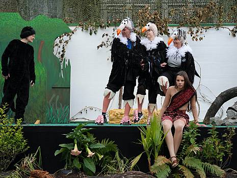 Mannheimer Dschungelbuch