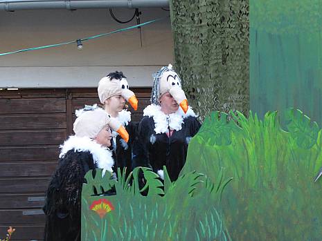 Mannheimer Dschungelbuch