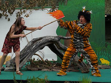 Mannheimer Dschungelbuch