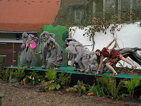 Mannheimer Dschungelbuch