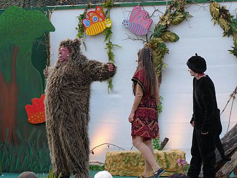 Mannheimer Dschungelbuch