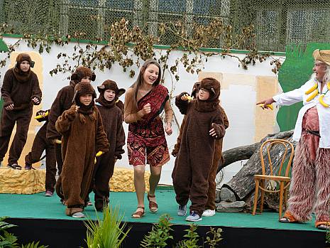 Mannheimer Dschungelbuch